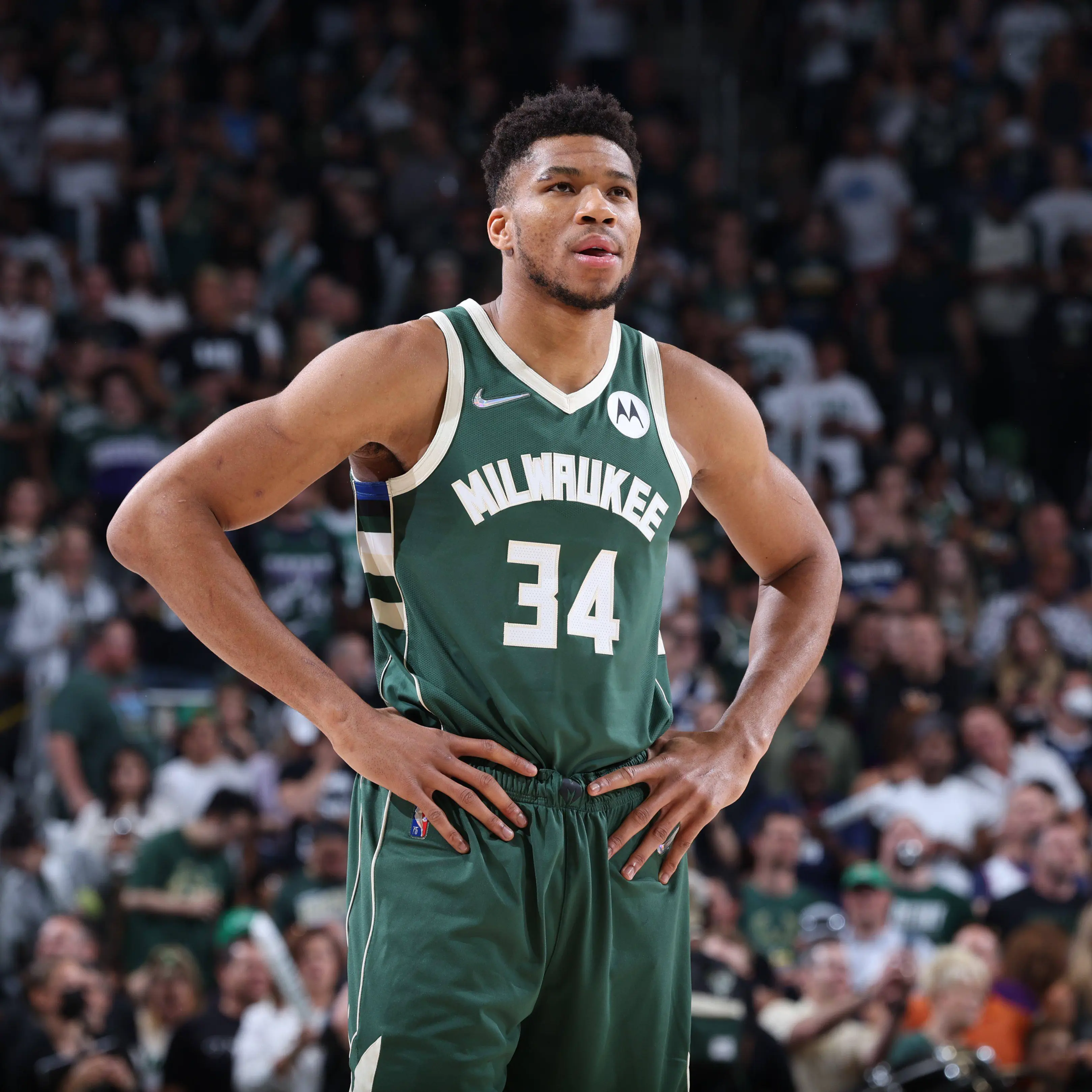 篮板, KMGzV, 总得分 篮板, KMGzV, 总得分