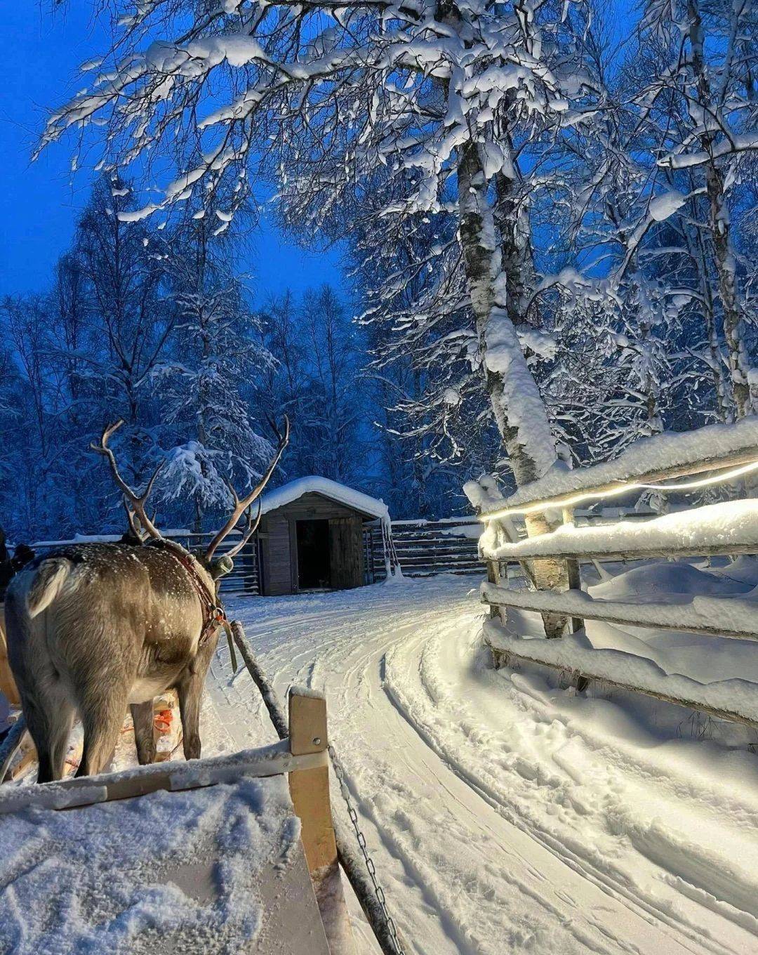 朝鲜族烤肉, 撼人心的星, 公里 朝鲜族烤肉, 撼人心的星, 公里