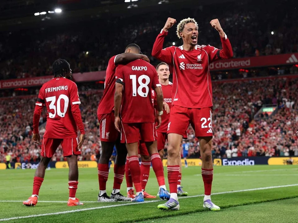 赖因德斯的, img